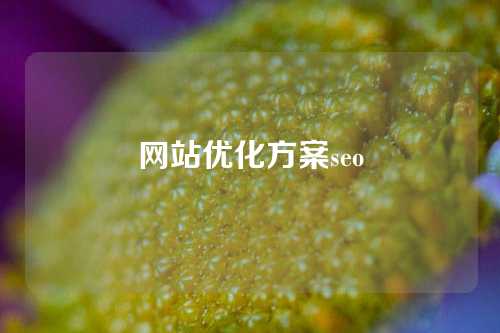 网站优化方案seo