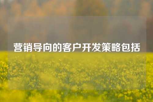 营销导向的客户开发策略包括