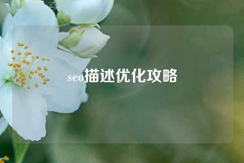 seo描述优化攻略