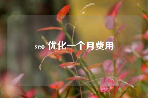 seo 优化一个月费用