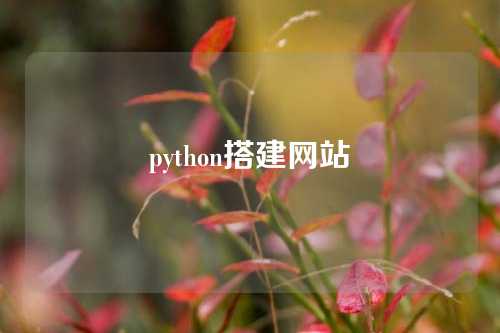 python搭建网站