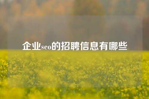 企业seo的招聘信息有哪些