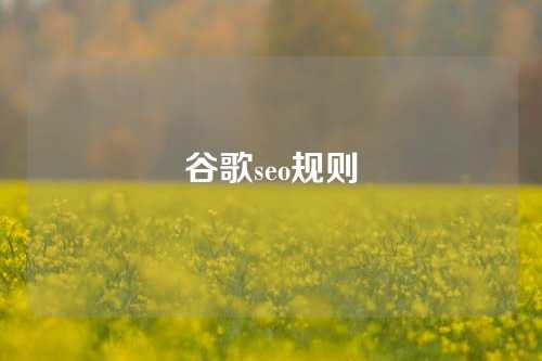 谷歌seo规则