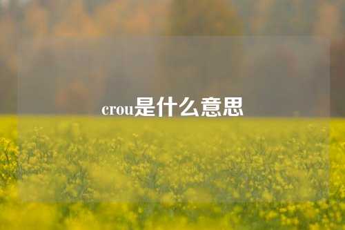 crou是什么意思