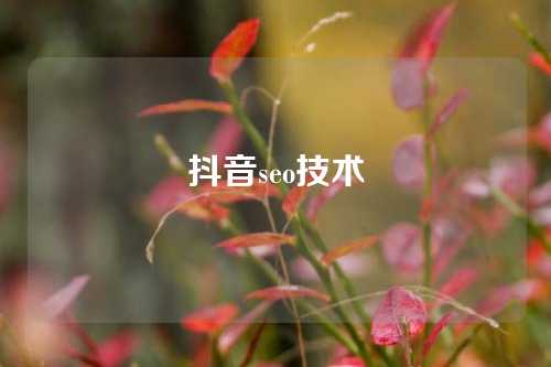 抖音seo技术