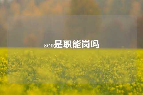 seo是职能岗吗