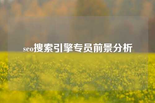 seo搜索引擎专员前景分析