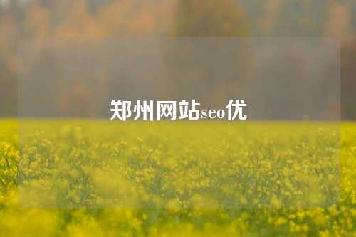 郑州网站seo优