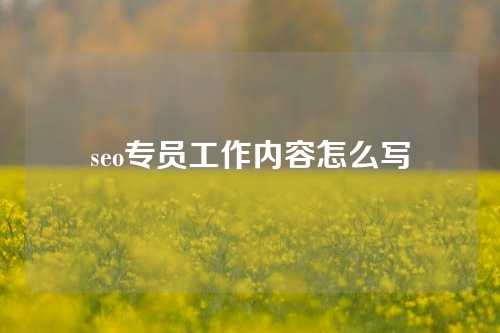 seo专员工作内容怎么写