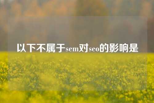 以下不属于sem对seo的影响是