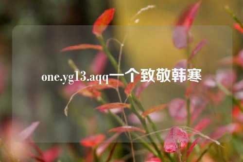 one.yg13.aqq一个致敬韩寒