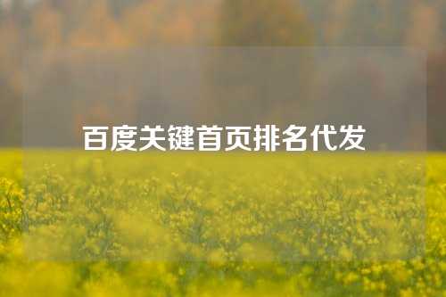 百度关键首页排名代发