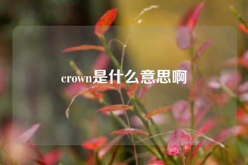 crown是什么意思啊