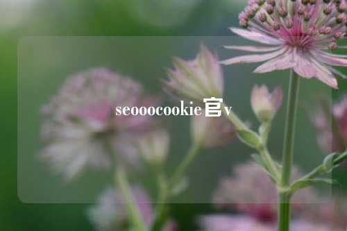 seooocookie官v