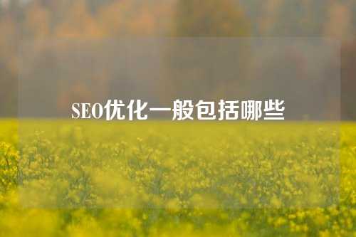 SEO优化一般包括哪些