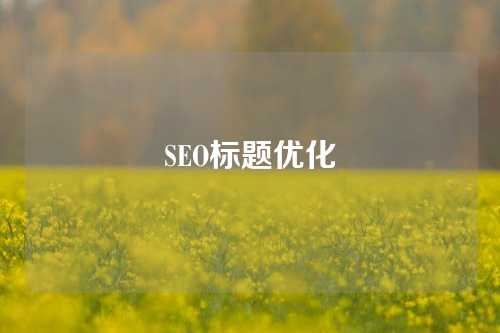 SEO标题优化