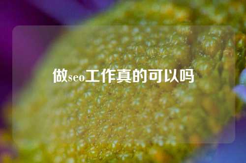 做seo工作真的可以吗