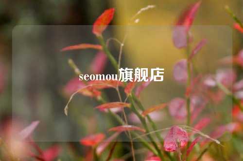 seomou旗舰店