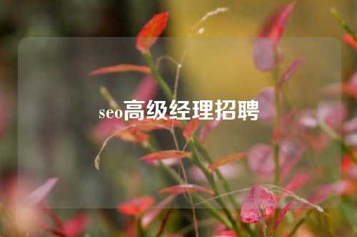 seo高级经理招聘