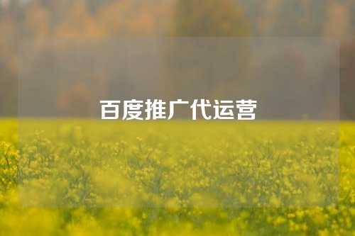 百度推广代运营