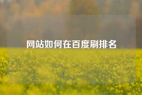 网站如何在百度刷排名