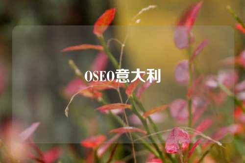 OSEO意大利