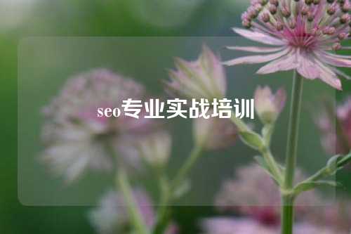 seo专业实战培训