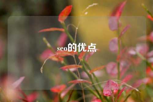 seo的优点