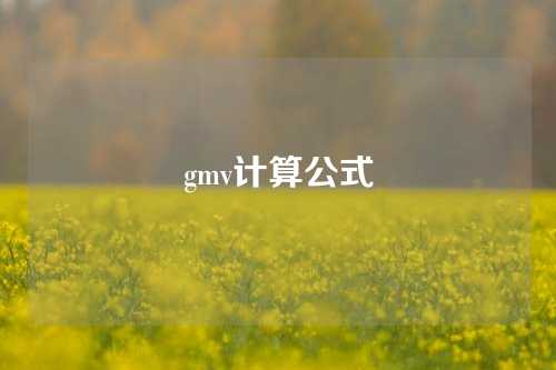 gmv计算公式