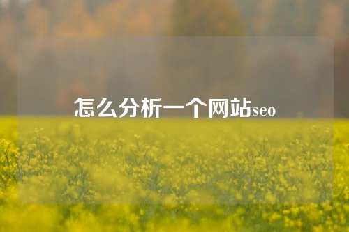 怎么分析一个网站seo