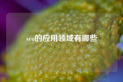 seo的应用领域有哪些