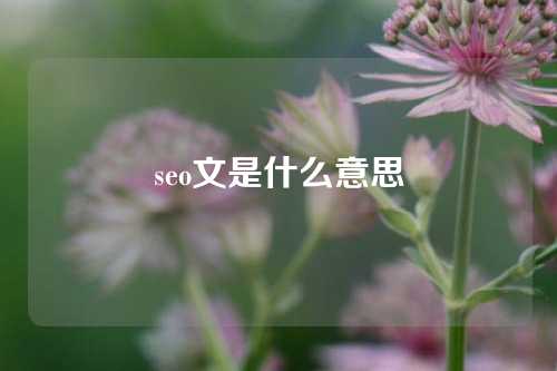 seo文是什么意思