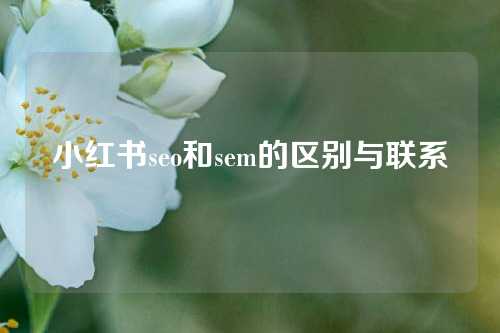 小红书seo和sem的区别与联系