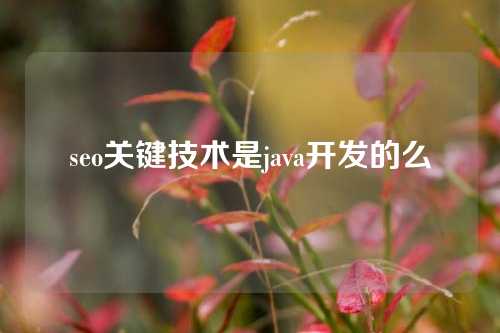 seo关键技术是java开发的么