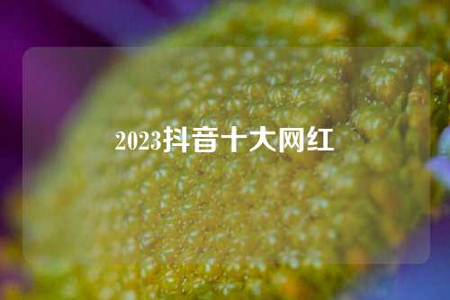 2023抖音十大网红