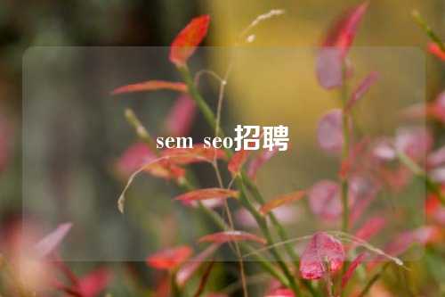 sem seo招聘