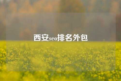 西安seo排名外包