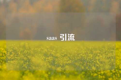 saas 引流