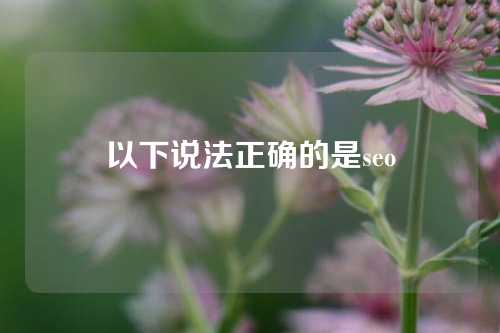 以下说法正确的是seo