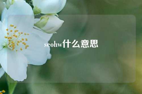 seohw什么意思