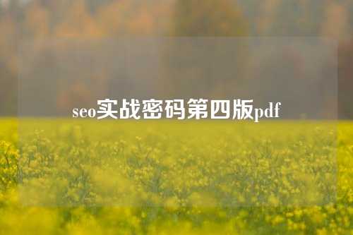 seo实战密码第四版pdf