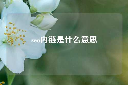 seo内链是什么意思