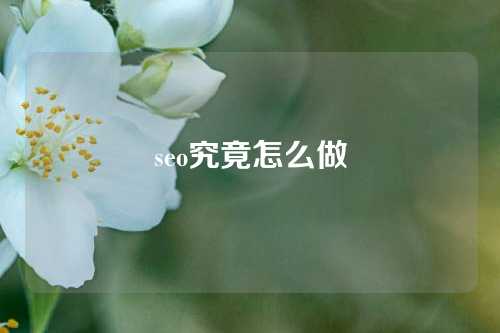 seo究竟怎么做