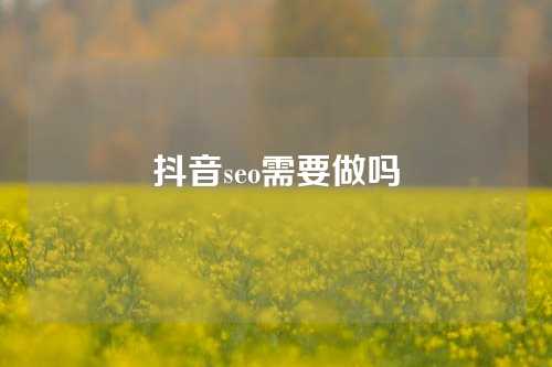 抖音seo需要做吗