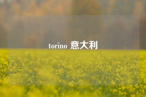 torino 意大利