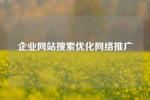 企业网站搜索优化网络推广