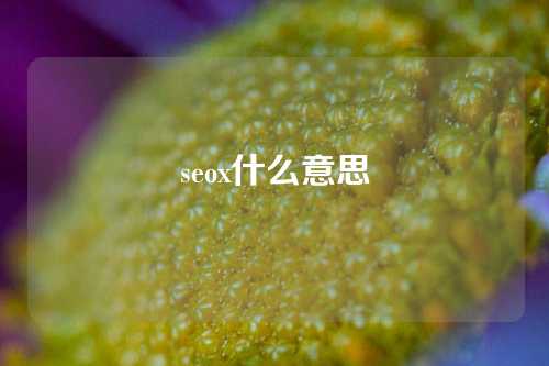 seox什么意思