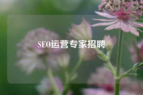 SEO运营专家招聘