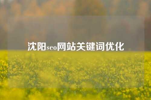 沈阳seo网站关键词优化