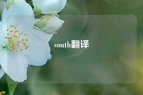 south翻译